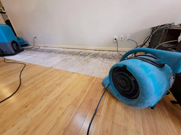 Reliable Basement Flood Cleanup contractor in Lambertville, MI by Hirex Water Damage
