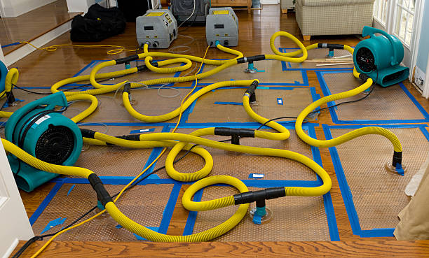 Professional Basement Flood Cleanup technician working in Lambertville, MI